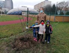 img_20201210_152543