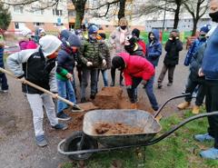 img_20201211_083529
