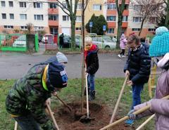 img_20201211_085536