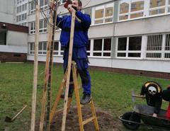 img_20201211_090017