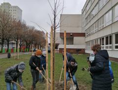 img_20201211_090849_1