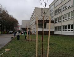 img_20201211_091043