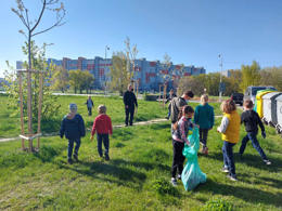 community cleaning