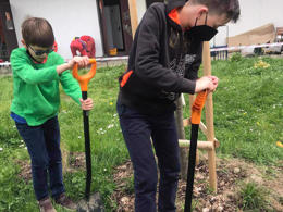 tree planting secondary