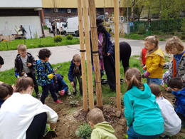 tree planting