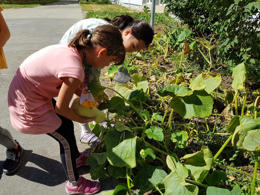 img-20210910-wa0029
