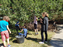 img-20210910-wa0041
