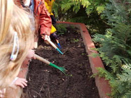 planting eco