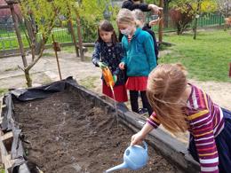 planting primary