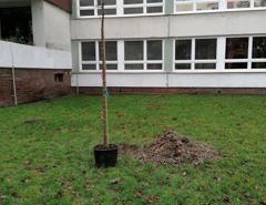 img_20201210_122258