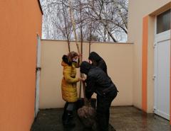 img_20201210_130617
