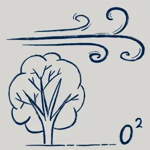 Certified Sustainable Garden - An Oasis of Fresh Air