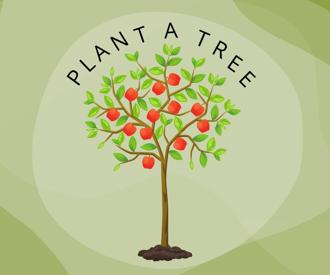 /files/plant%20a%20tree/untitled%20design%20(1).jpg